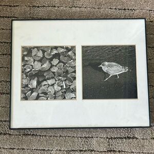 Target Framed Wall Art Print Two Panel Black White Beach Bird Photos Size OS